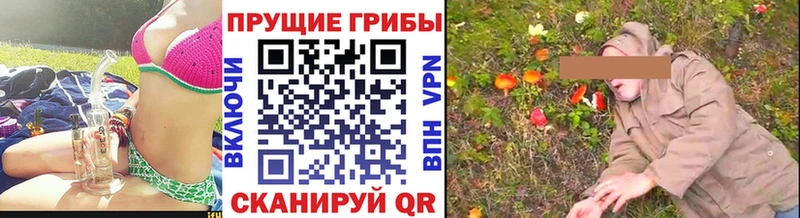 mega ONION  Новоржев  Псилоцибиновые грибы Psilocybine cubensis  купить  